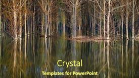  Presentation with summer trees - PPT theme enhanced with lush green poplar trees reflected in the water on sunny summer day background and a tawny brown colored foreground