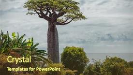  Presentation with green tree - Slide set enhanced with lush green small trees madagascar background and a tawny brown colored foreground