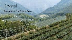  Presentation with tea fields - 