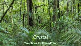  Presentation with vine - Slides having lush green tropical jungle background and a tawny brown colored foreground