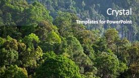  Presentation with tropical rainforest - Colorful presentation theme enhanced with lush green tropical rainforest backdrop and a ocean colored foreground