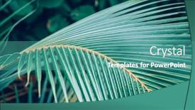  Presentation with tropical - Presentation theme consisting of lush-green-tropical-vegetation-background and a teal colored foreground