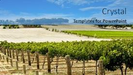  Presentation with vineyard - Audience pleasing PPT theme consisting of lush green vineyard in the barossa valley backdrop and a light blue colored foreground