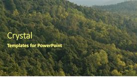  Presentation with tropical forest - Audience pleasing PPT layouts consisting of lush-greenery-nature-tropical-forest backdrop and a tawny brown colored foreground