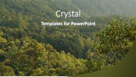  Presentation with tropical forest - Presentation theme with lush-greenery-nature-tropical-forest background and a gray colored foreground
