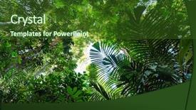  Presentation with negara - Colorful PPT layouts enhanced with lush jungle vegetation backdrop and a tawny brown colored foreground