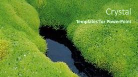  Presentation with moss - Colorful presentation theme enhanced with lush-moss-and-still-water backdrop and a tawny brown colored foreground