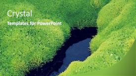  Presentation with moss - Beautiful PPT theme featuring lush-moss-and-still-water backdrop and a tawny brown colored foreground