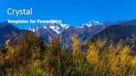  Presentation with fox - Presentation theme featuring lush-new-zealand-vegetation background and a teal colored foreground