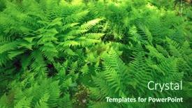  Presentation with fern - Amazing PPT theme having lush-norvegian-fern-bushs backdrop and a forest green colored foreground