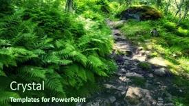  Presentation with fern - PPT theme consisting of lush-norvegian-forest-with-path background and a forest green colored foreground