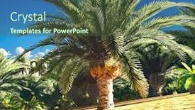  Presentation with wilderness - Colorful presentation theme enhanced with marvel - lush spectacular plants on wilderness backdrop and a tawny brown colored foreground