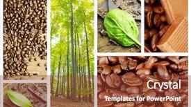  Presentation with trees - Cool new theme with lush trees in the forest backdrop and a tawny brown colored foreground