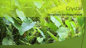  Presentation with fern - Presentation theme featuring lush-tropical-foliage-lotus background and a yellow colored foreground