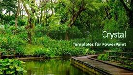  Presentation with jungle - Presentation theme consisting of lush tropical green jungle background and a tawny brown colored foreground
