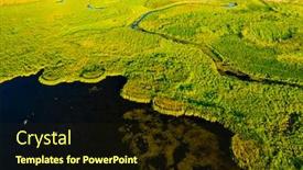  Presentation with earth eye - Audience pleasing slide deck consisting of lush-wetlands-of-bird-s backdrop and a wine colored foreground