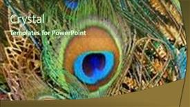  Presentation with peacock - Beautiful presentation design featuring luxurious-peacock-tail-decorated backdrop and a tawny brown colored foreground