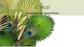  Presentation with peacock - Cool new slides with luxurious-peacock-tail-decorated backdrop and a yellow colored foreground