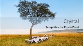  Presentation with kenya - PPT layouts enhanced with luxury bush breakfast in masai mara national park in kenya background and a light blue colored foreground