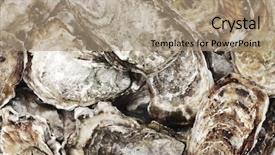  Presentation with pearls and oysters - Slide set having luxury food - oysters background macro close up background and a coral colored foreground