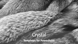  Presentation with royal luxury gold and silver - Audience pleasing presentation consisting of luxury fur russian silver fox background backdrop and a gray colored foreground