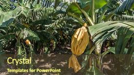  Presentation with eat - Slide deck having luye taitung taiwan asia background and a  colored foreground