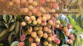  Presentation with fruit lychee - Slide deck enhanced with lychee fruit on the tree background and a coral colored foreground