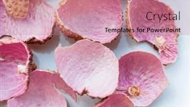  Presentation with shells - Slides featuring lychee-shells-on-the-white background and a coral colored foreground