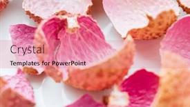  Presentation with shells - Theme having lychee-shells-on-the-white background and a coral colored foreground