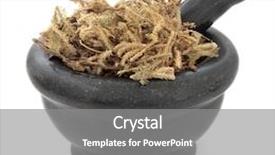  Presentation with cao - Theme having lycopodium chinese herbal medicine in a black stone mortar with pestle over white background shen jin cao background and a gray colored foreground