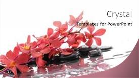  Presentation with orchid - Presentation theme enhanced with lying-down-branch-pink-orchid background and a white colored foreground