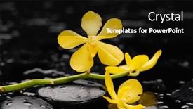  Presentation with orchid - Presentation theme enhanced with lying down branch yellow orchid with therapy stones background and a black colored foreground
