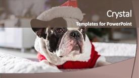  Presentation with culture french russia kids - Colorful theme enhanced with lying down under the christmas backdrop and a tawny brown colored foreground