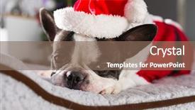  Presentation with christmas tree - PPT theme having lying down under the christmas background and a violet colored foreground