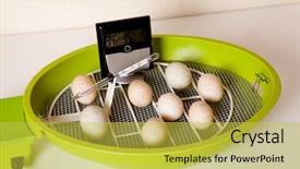  Presentation with incubator - Beautiful slide deck featuring lying in an open incubator backdrop and a  colored foreground