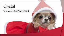  Presentation with santa - PPT theme featuring man falling and splashing into water of swimming pool background and a light blue colored foreground