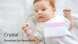  Presentation with baby chickens little cute chicks - Slides enhanced with lying on couch at hospital background and a soft green colored foreground