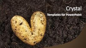  Presentation with potato - Audience pleasing PPT theme consisting of lying on the garden soil backdrop and a wine colored foreground