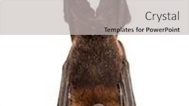  Presentation with fox - Beautiful slides featuring lyle-s-flying-fox-hanging backdrop and a light gray colored foreground