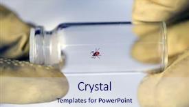  Presentation with meningitis - Presentation theme enhanced with meningitis - entomologist researches tick in vial background and a sky blue colored foreground