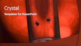  Presentation with meningitis - Theme enhanced with meningitis - fatally dangerous ticks background and a tawny brown colored foreground