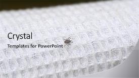  Presentation with clothes - Beautiful slides featuring lymes disease - tick searches for unprotected place backdrop and a white colored foreground