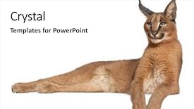  Presentation with black and white old phone - Cool new slide deck with education employer - group of business people team backdrop and a  colored foreground.