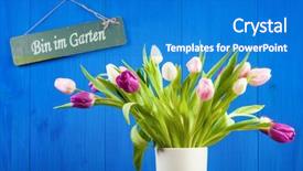  Presentation with blue tulip - PPT layouts with m - tulips bouquet in vase blue background and a teal colored foreground