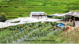  Presentation with rice fields - Audience pleasing PPT layouts consisting of ma - terraced green rice fields backdrop and a seafoam green colored foreground
