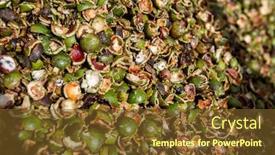  Presentation with macadamia nuts - Presentation design having macadamia-nuts-nuts-orchid-macadamian background and a tawny brown colored foreground