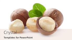  Presentation with macadamia nuts - PPT theme enhanced with macadamia-nuts-with-leaves background and a coral colored foreground