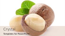  Presentation with macadamia nuts - Colorful theme enhanced with macadamia-nuts-with-leaves backdrop and a coral colored foreground