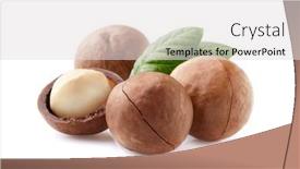  Presentation with macadamia nuts - Colorful PPT theme enhanced with macadamia-nuts-with-leaves backdrop and a light gray colored foreground