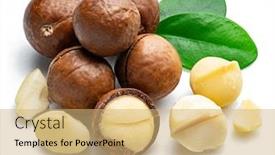  Presentation with macadamia nuts - Cool new presentation with macadamia-nuts-with-peeled-macadamia backdrop and a coral colored foreground
